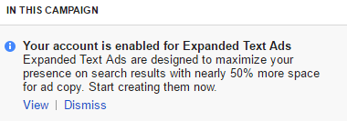 Google Expanded Text Ad 1